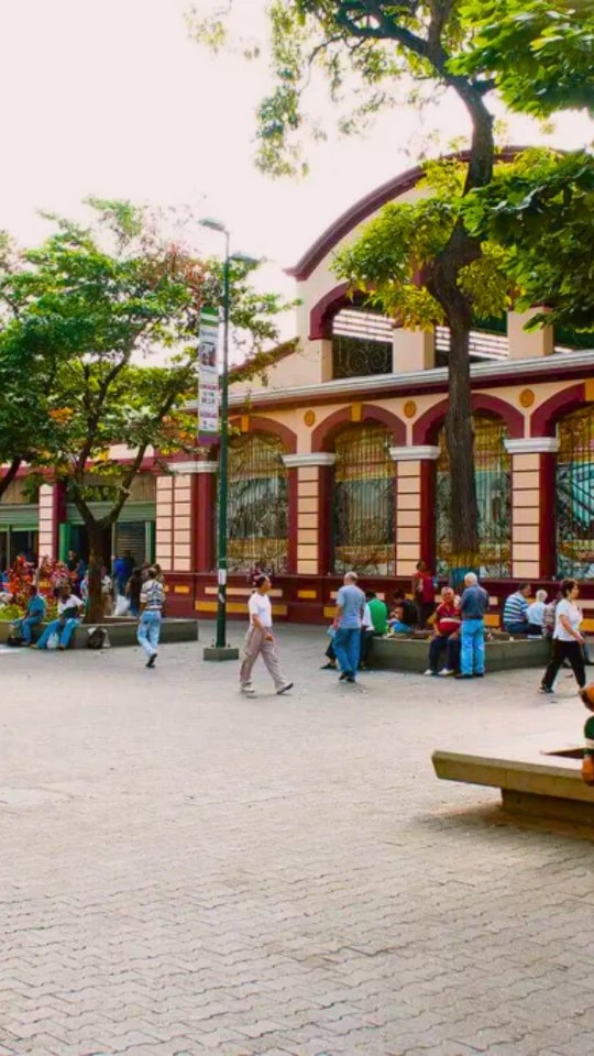 Frigorífico Plaza Real Facebook ad: Mira el video y sigue la ruta hasta…