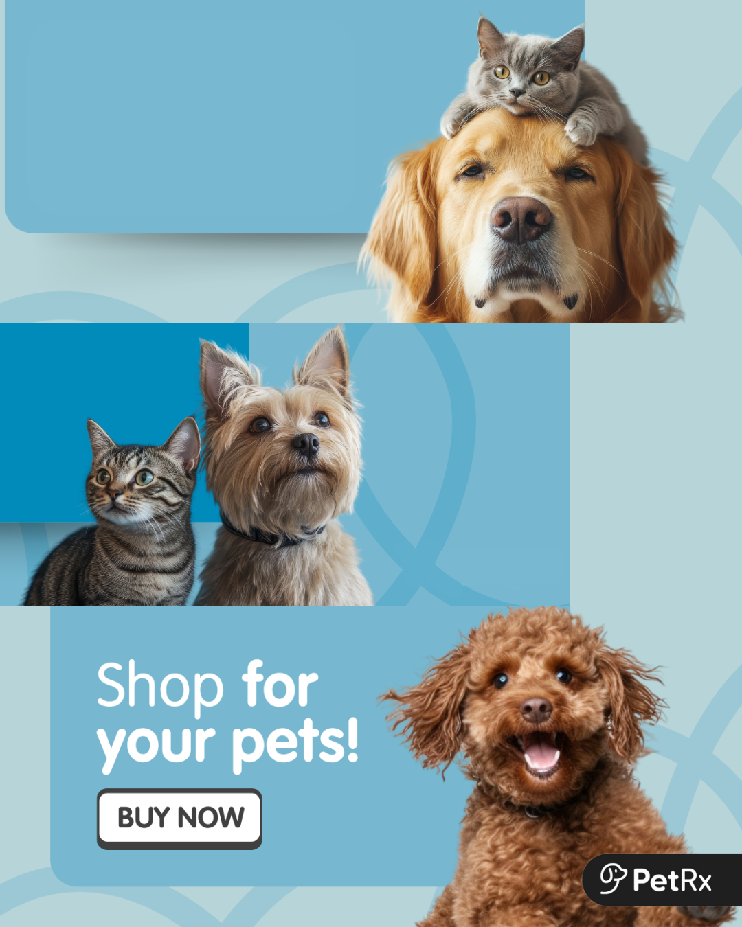 PetRx.com Facebook ad