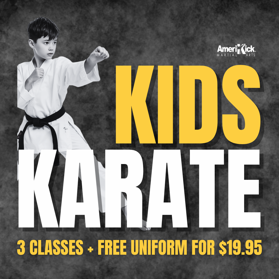 Amerikick Martial Arts Facebook ad