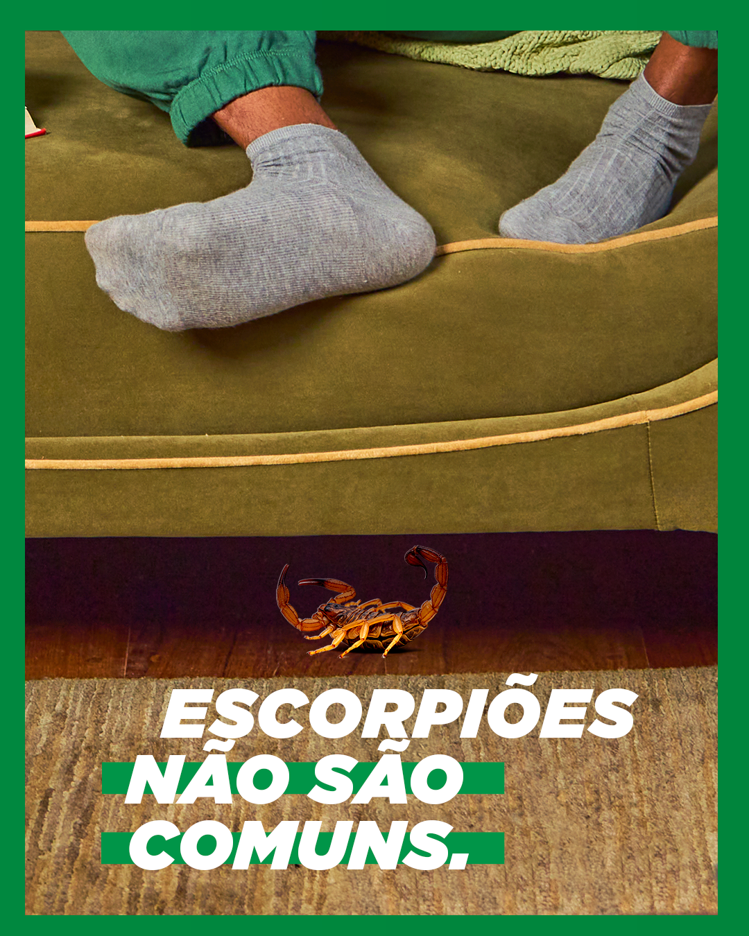 Baygon Facebook ad