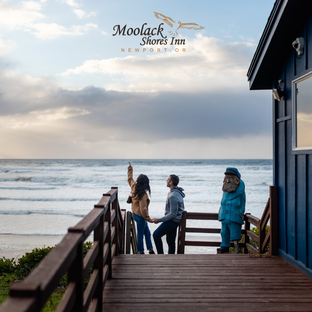 Moolack Shores Inn Facebook ad: Discover Moolack Shores Inn, Newport, OR-->