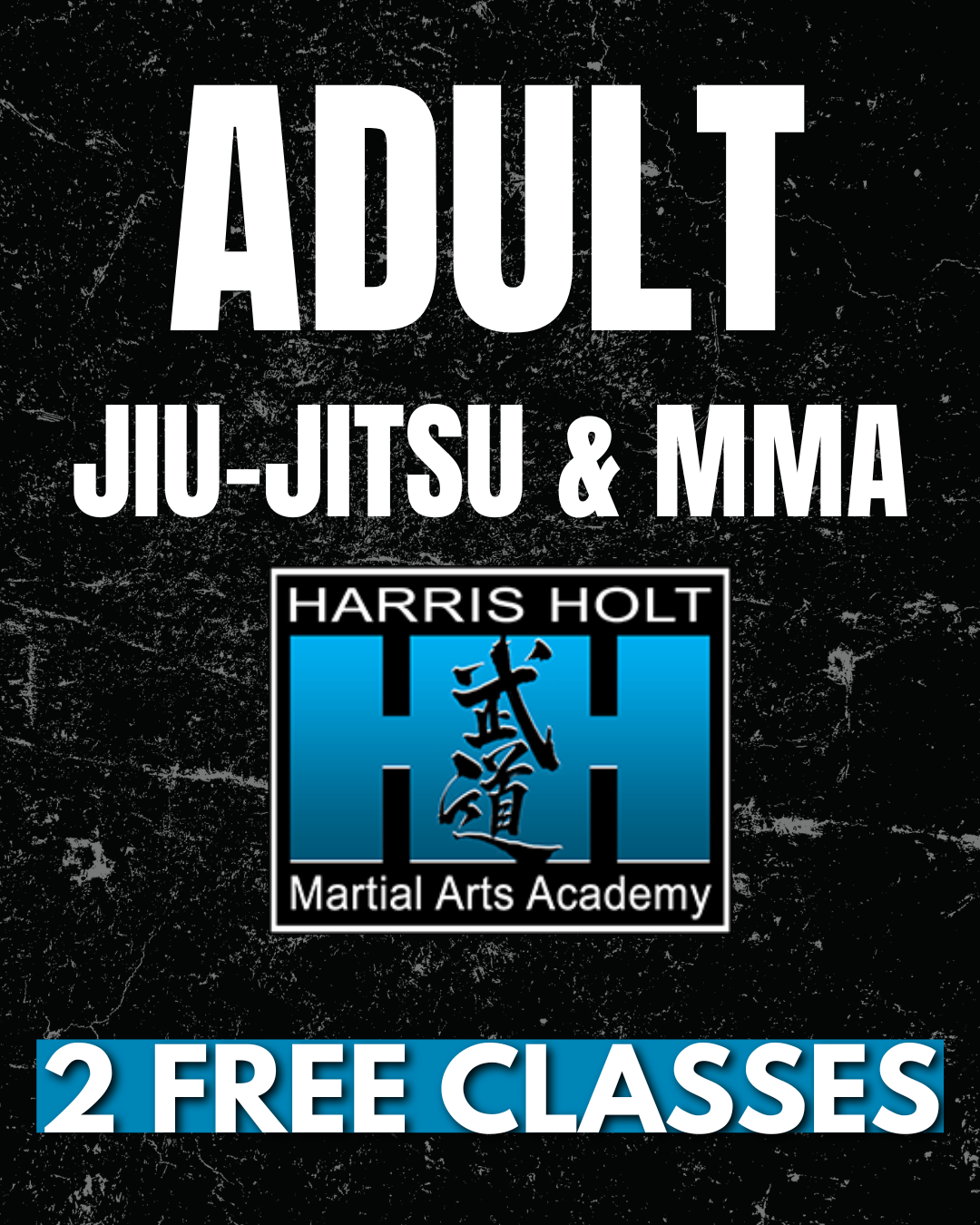 Harris Holt Martial Arts Academy Facebook ad