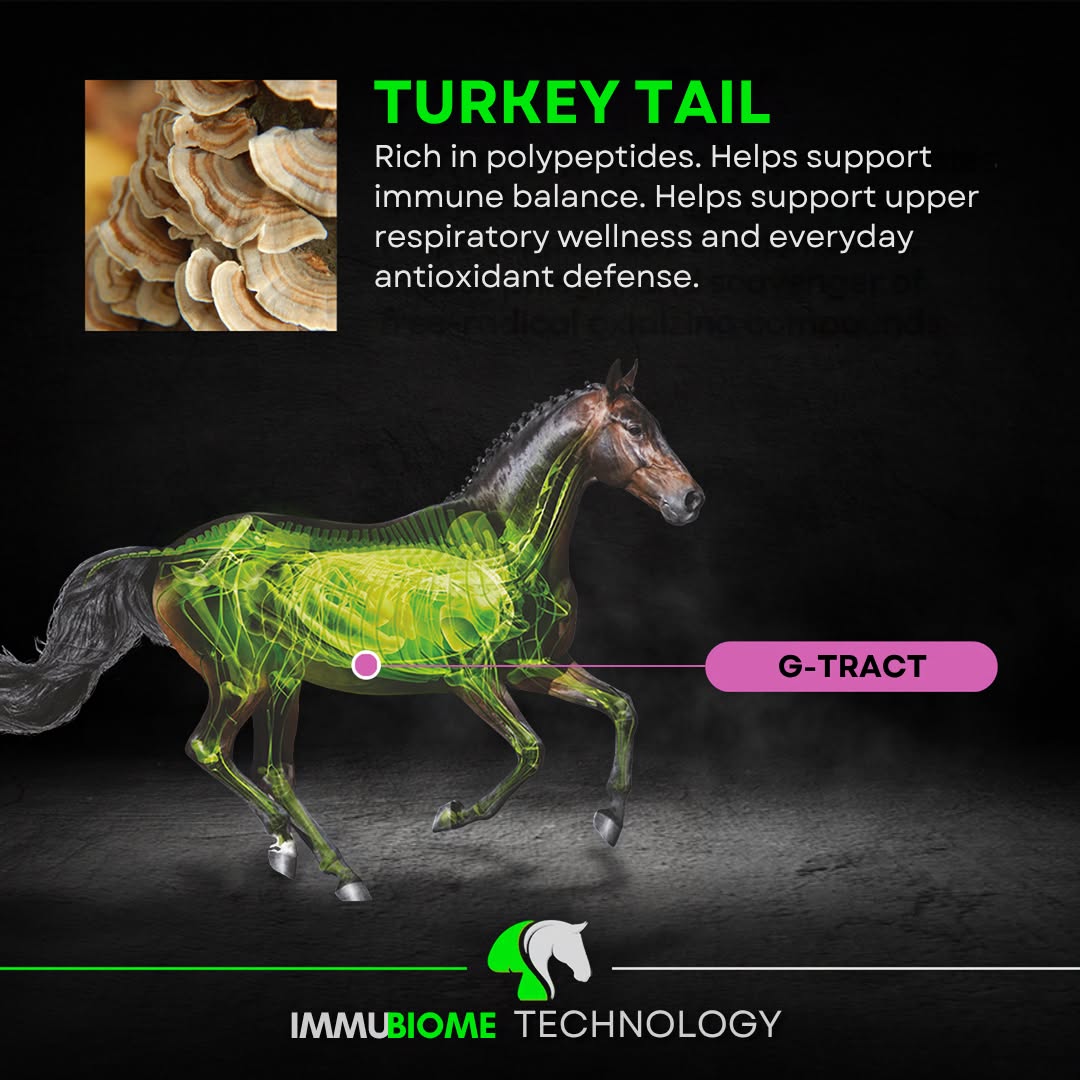 ImmuBiome Facebook ad: Free shipping on orders