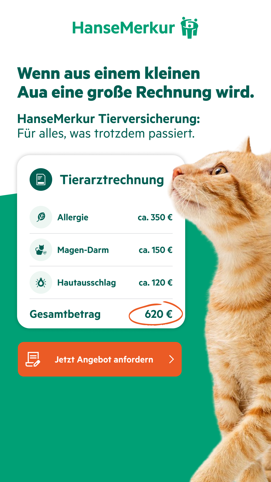 HanseMerkur Facebook ad