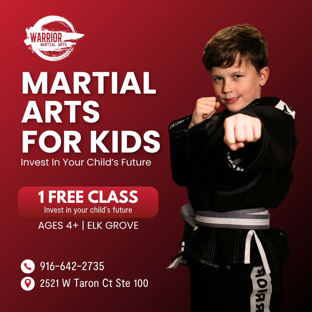 Warrior Martial Arts Facebook ad