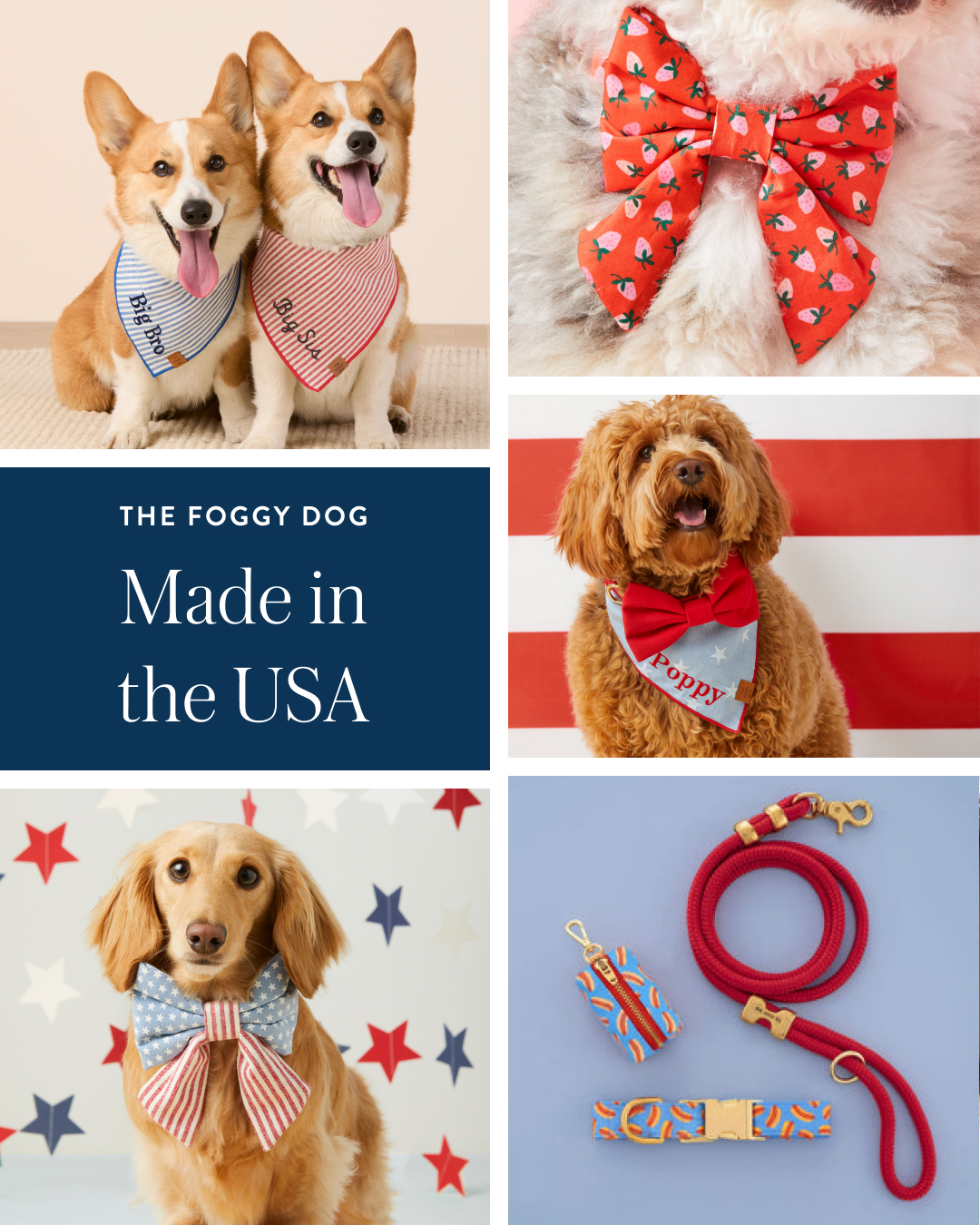 The Foggy Dog Facebook ad