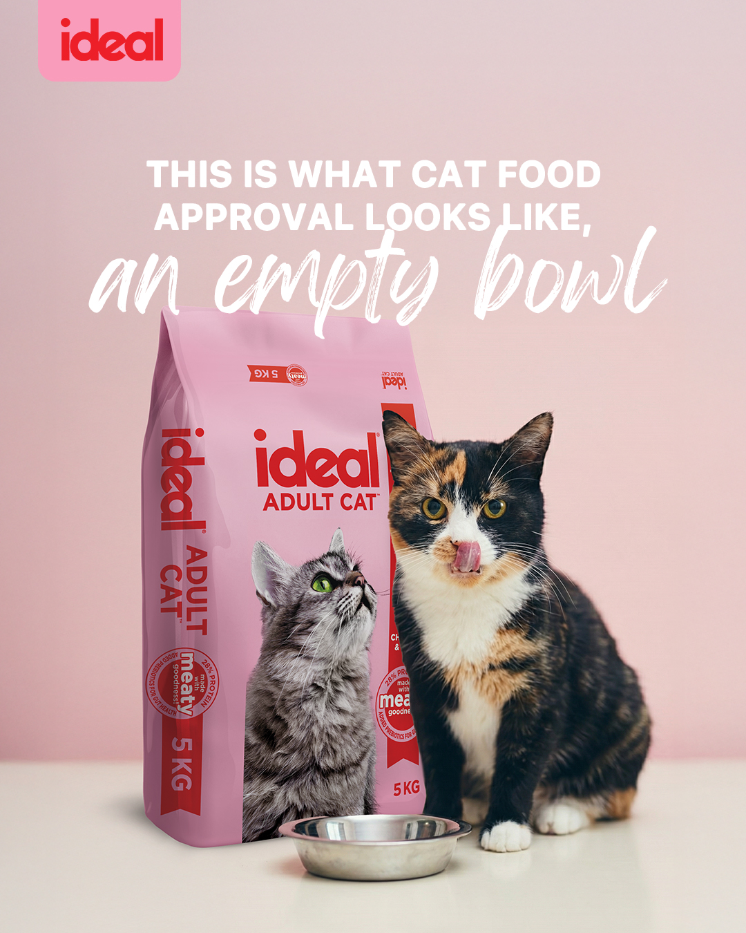 Ideal Pet Food Facebook ad