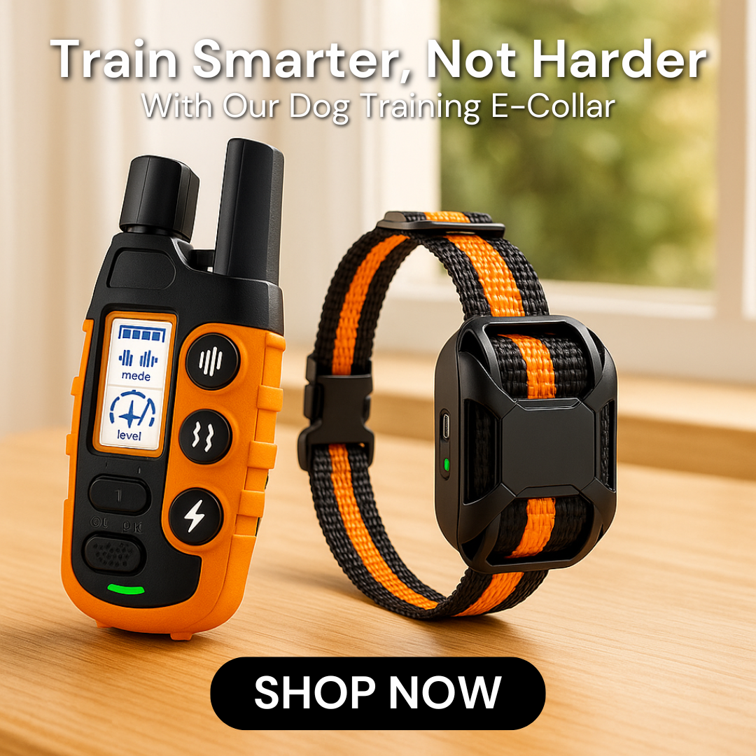 Select Everything Shop Facebook ad: Make Training Simple & Humane