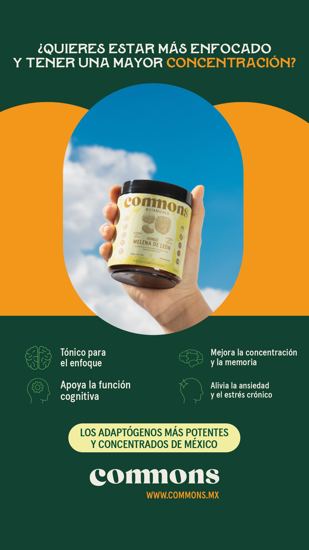 Commons.adaptogenos Facebook ad