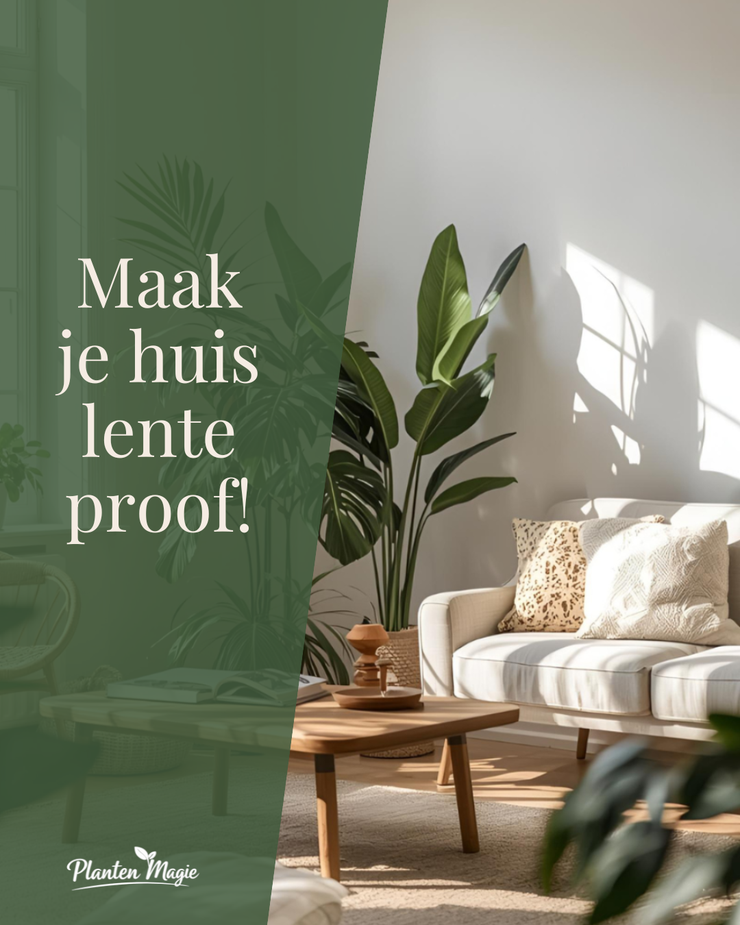 Planten Magie Facebook ad from Mar 10, 2026