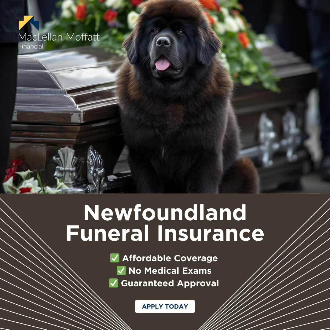 MacLellan & Moffatt Financial Facebook ad