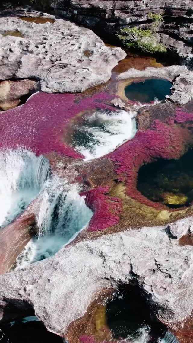 Awake.travel Facebook ad: ¡Caño Cristales ya abrió sus puertas!