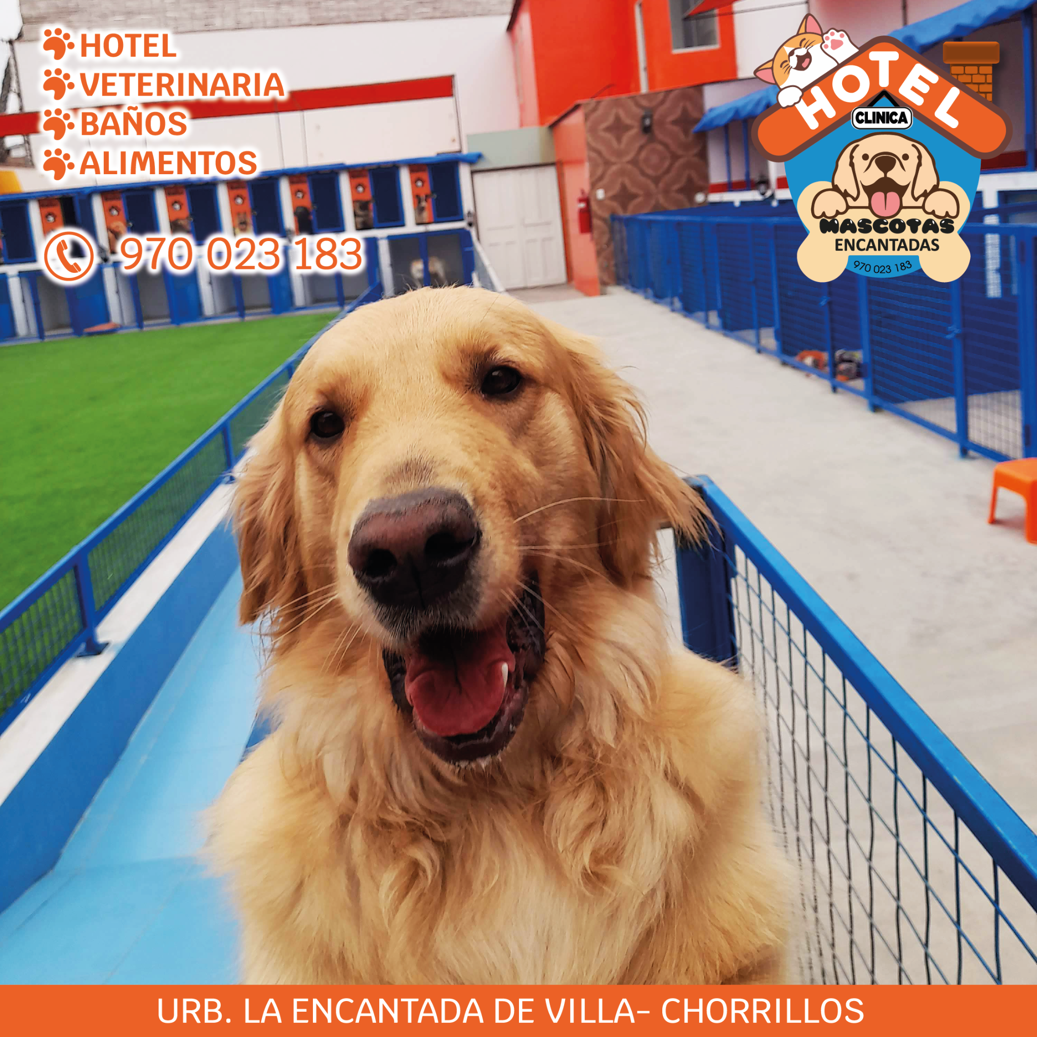 Hotel Mascotas Encantadas Facebook ad