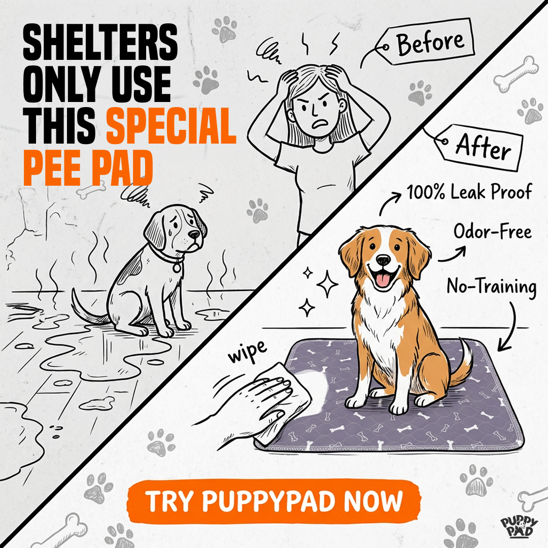 PuppyPad Facebook ad
