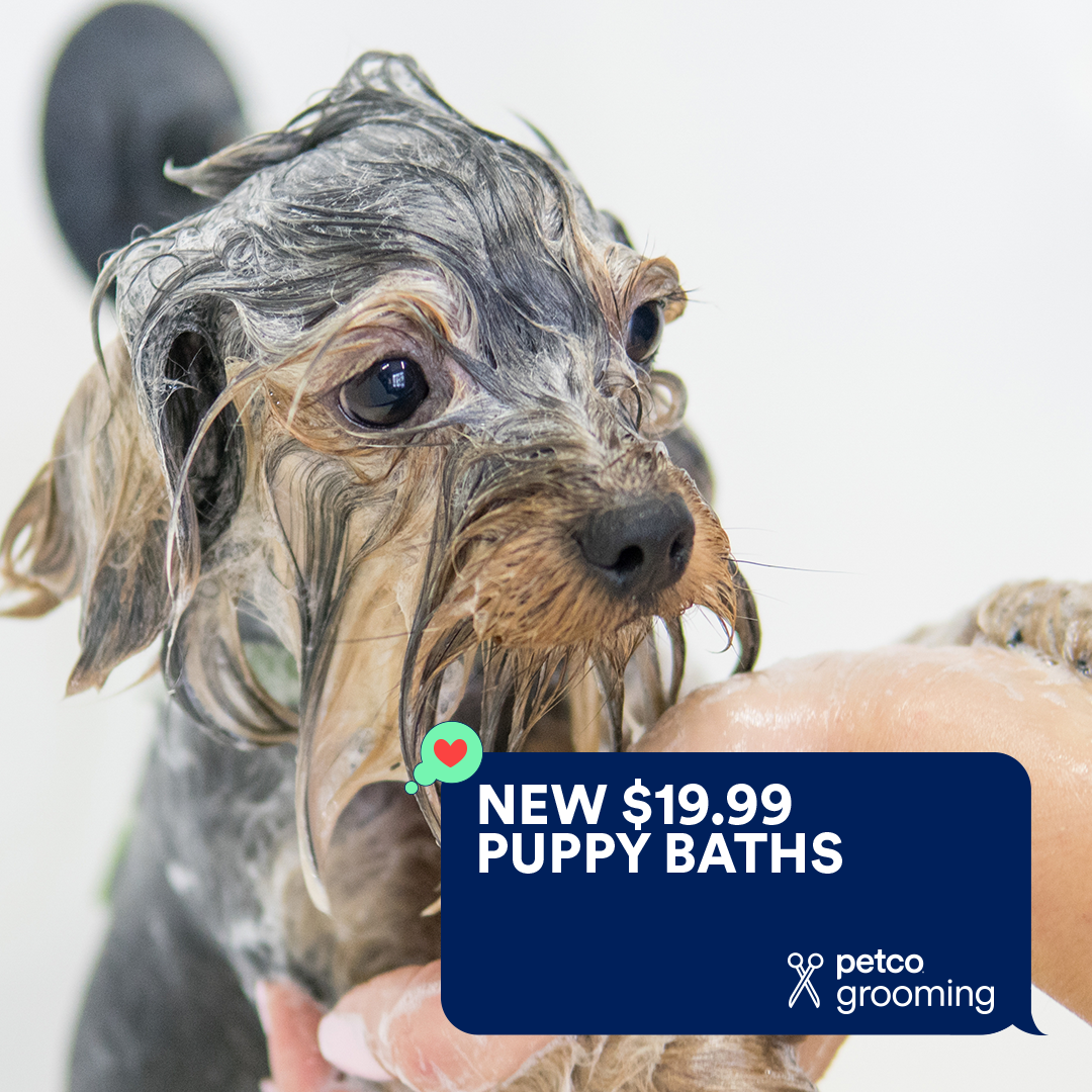 Petco Facebook ad
