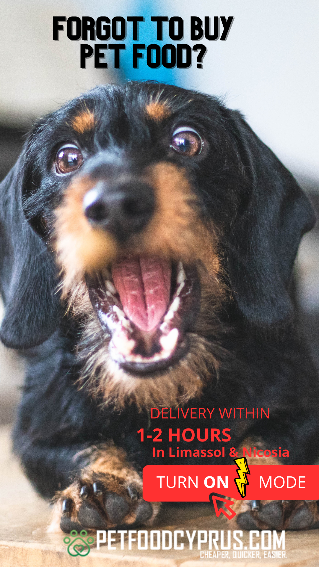 Pet Food Cyprus Facebook ad