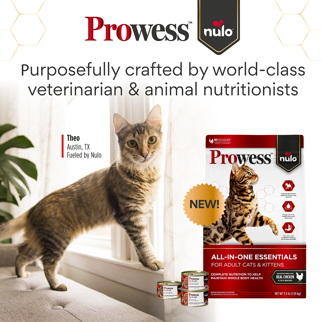 Petco Facebook ad