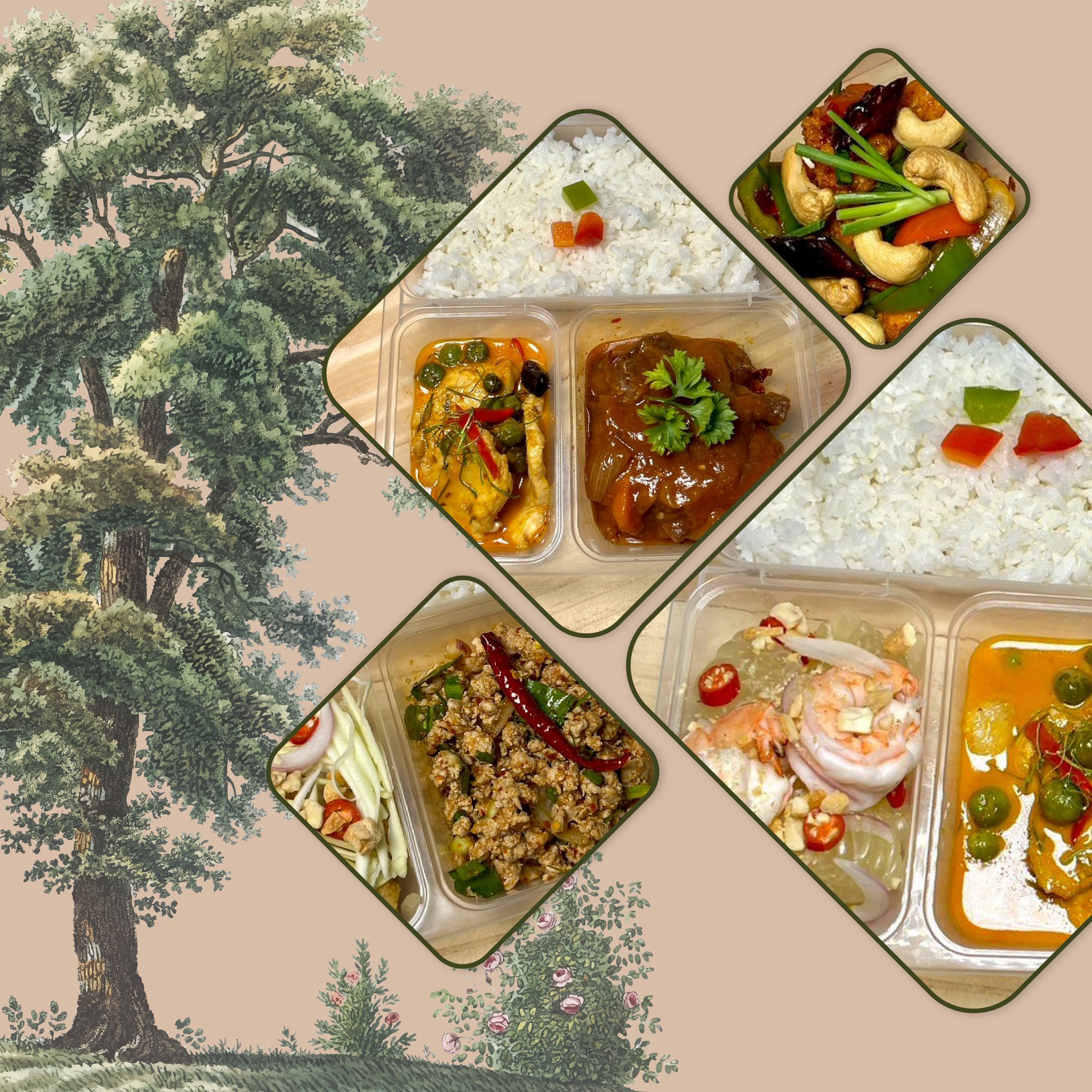AredAroi by OAK รับทำข้าวกล่อง อาหารถาด กทม & ปริมณฑล Facebook ad: อิ่มอร่อยทุกคำ สดใหม่ทุกกล่อง