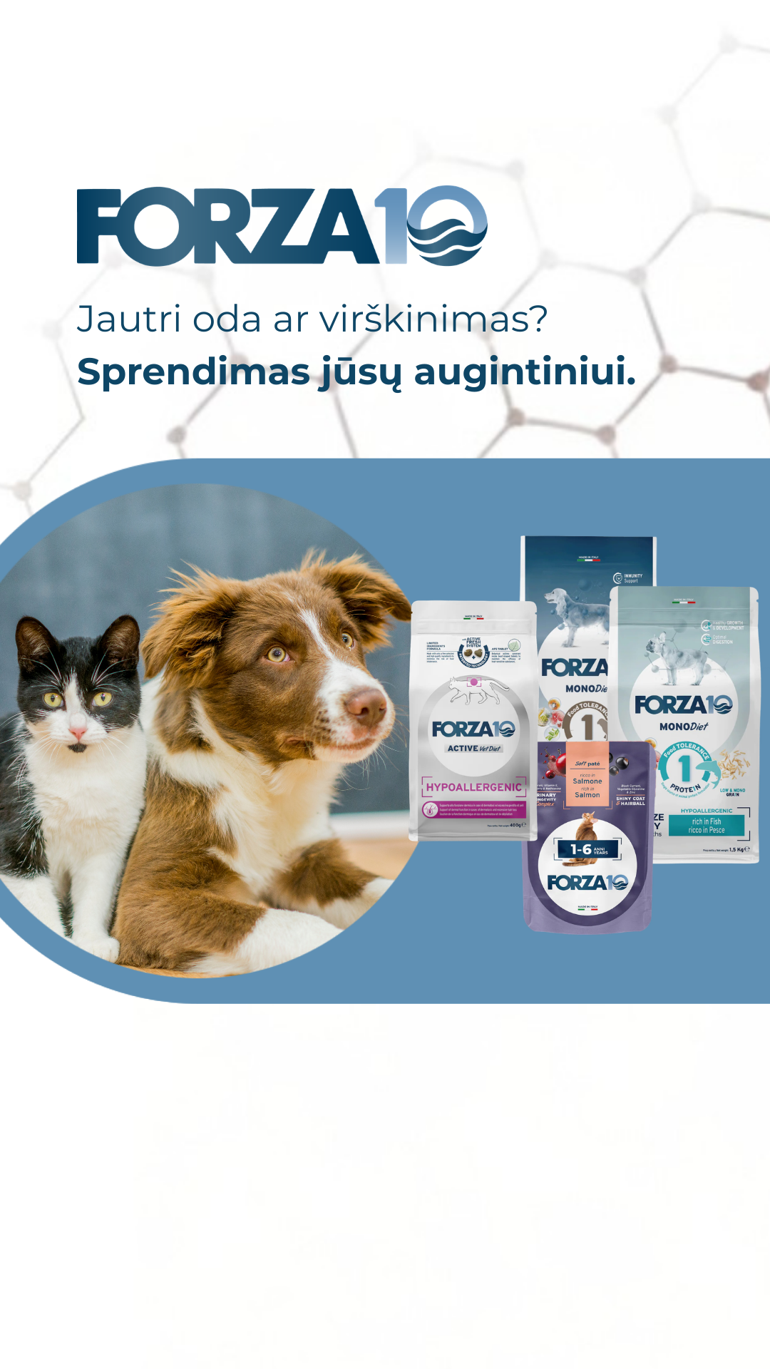 Forza10 Lietuva Facebook ad