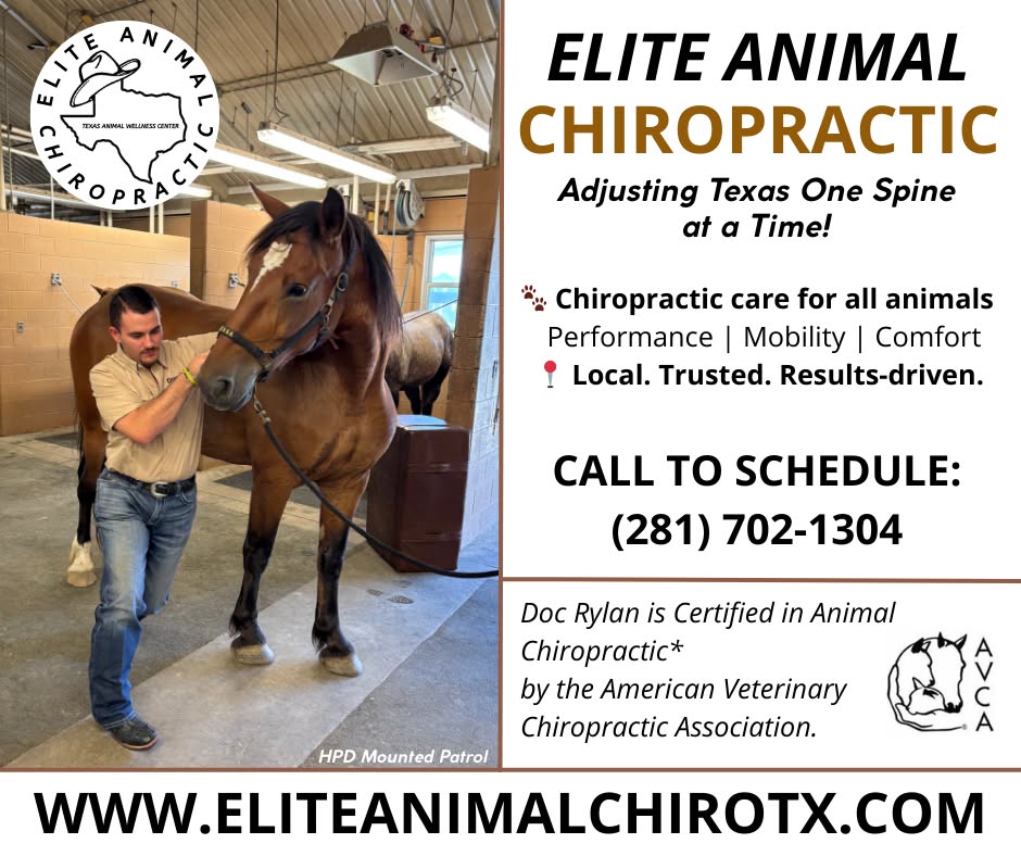 Elite Animal Chiropractic Facebook ad