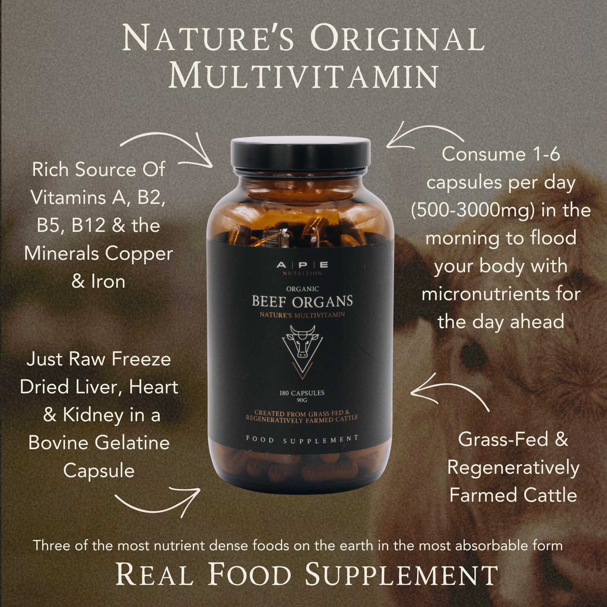 ape_nutrition Facebook ad