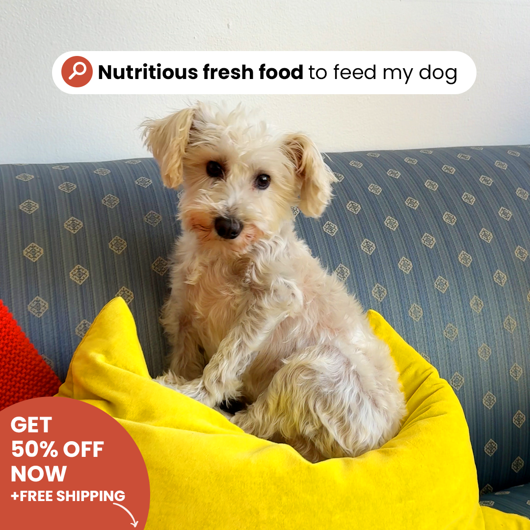 So Yummy Facebook ad