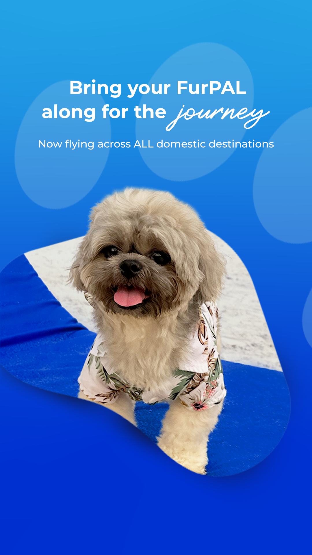 Philippine Airlines Facebook ad