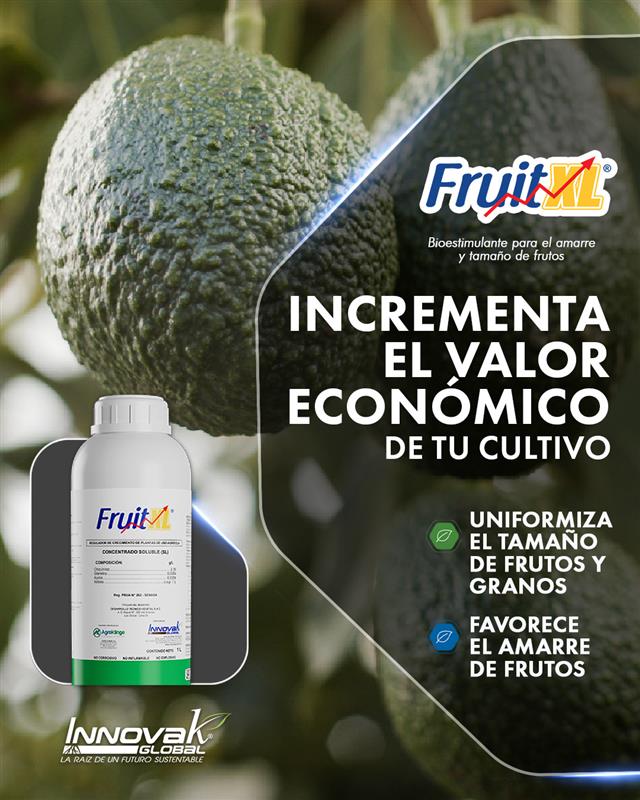 Innovak Perú Facebook ad: Bioestimula tu cultivo desde la raíz