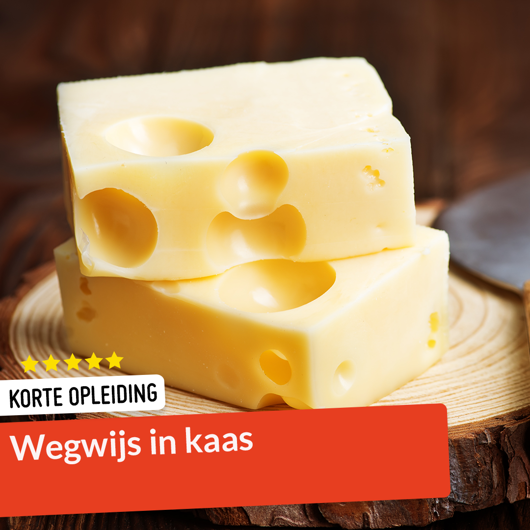 Syntra AB Facebook ad: Onze populairste horeca & voeding opleidingen.