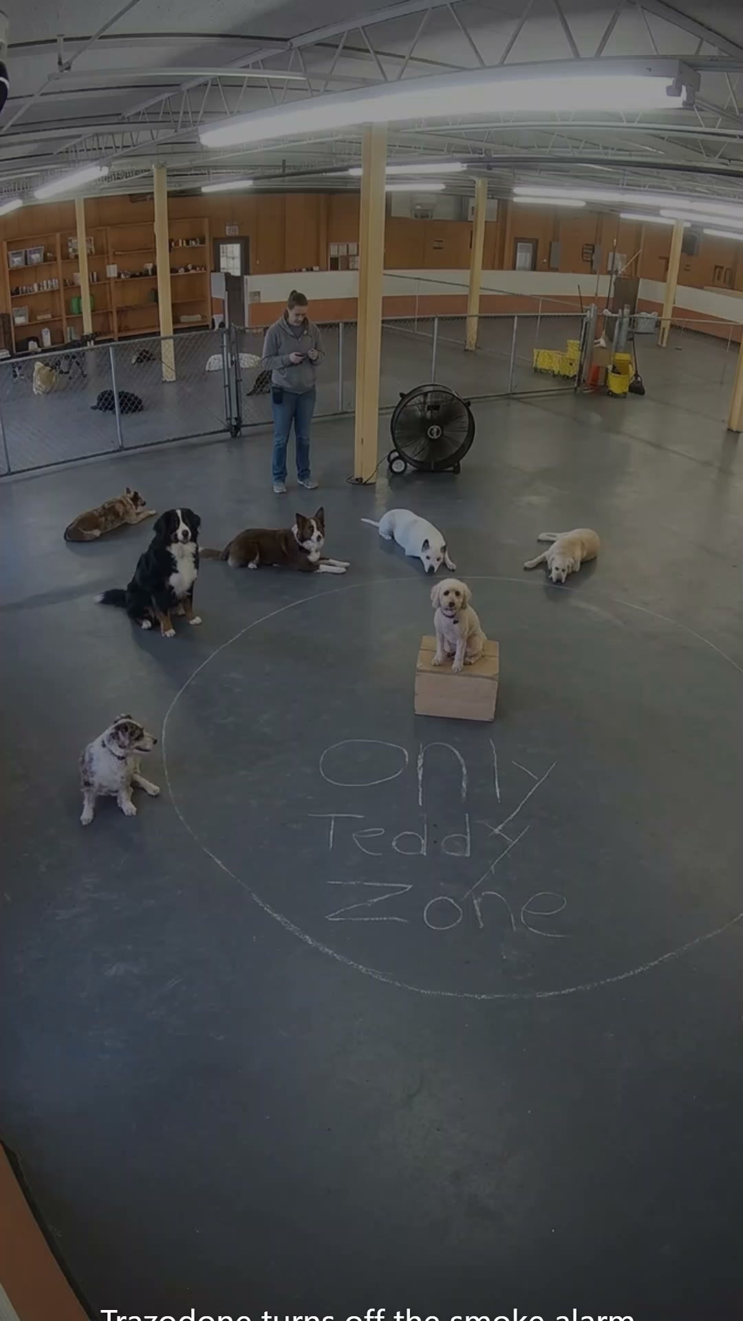 Lakeview Animal Hospital Facebook ad: Trazodone turns off the smoke alarm. Prozac stretches the…