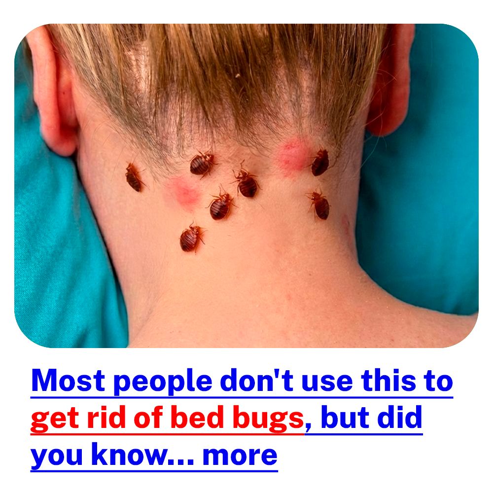 Ultimate Bed Bug Solution Facebook ad