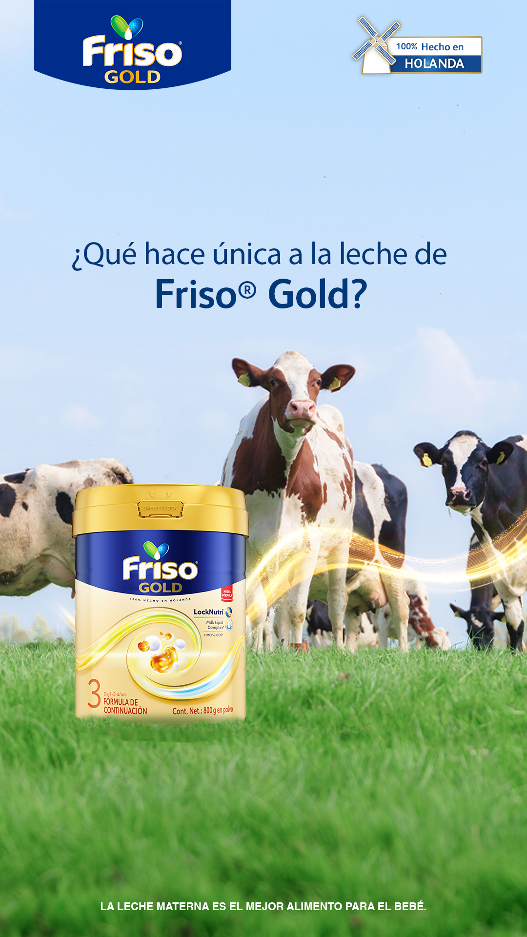 Friso México Facebook ad