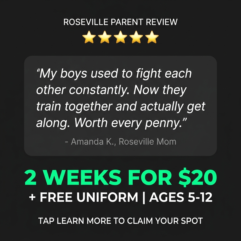 Roseville Academy - Family Taekwondo Facebook ad: Family Martial Arts!