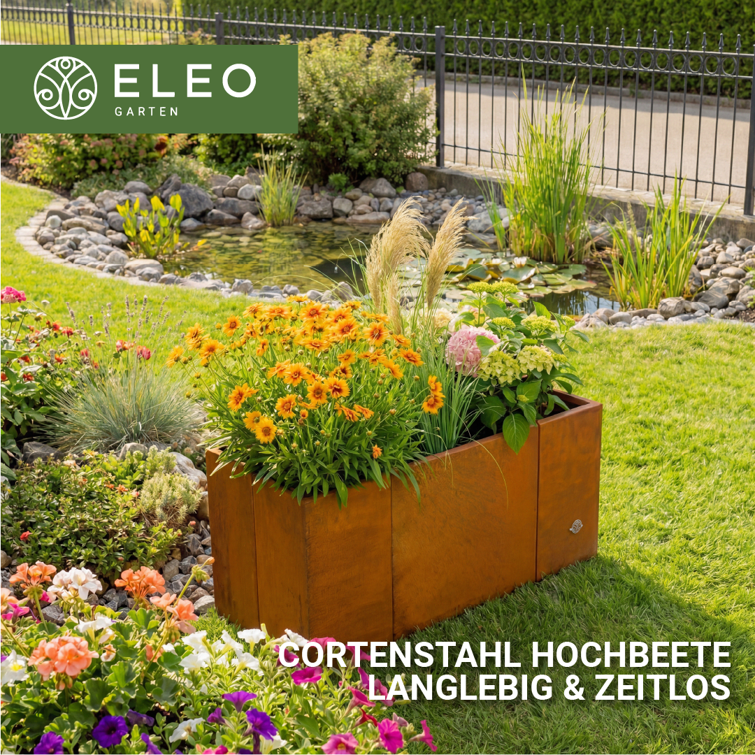 ELEO Facebook ad