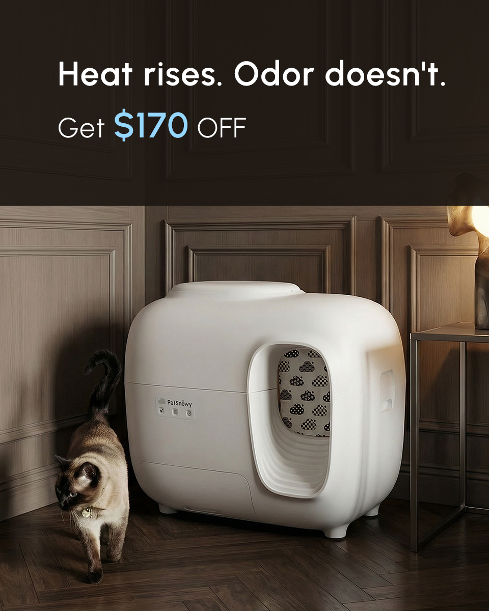 PetSnowy Facebook ad
