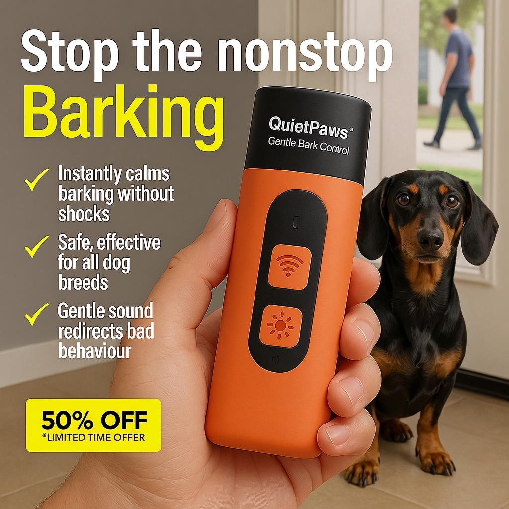 Hunters Doggy Daycare Facebook ad