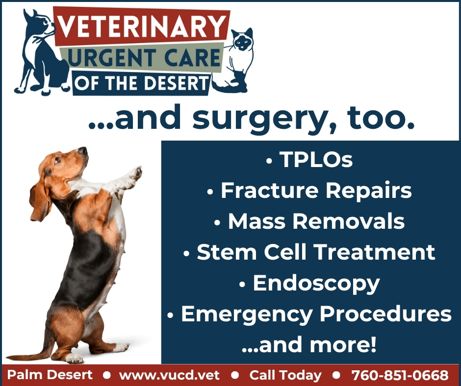 Veterinary Urgent Care of the Desert Facebook ad