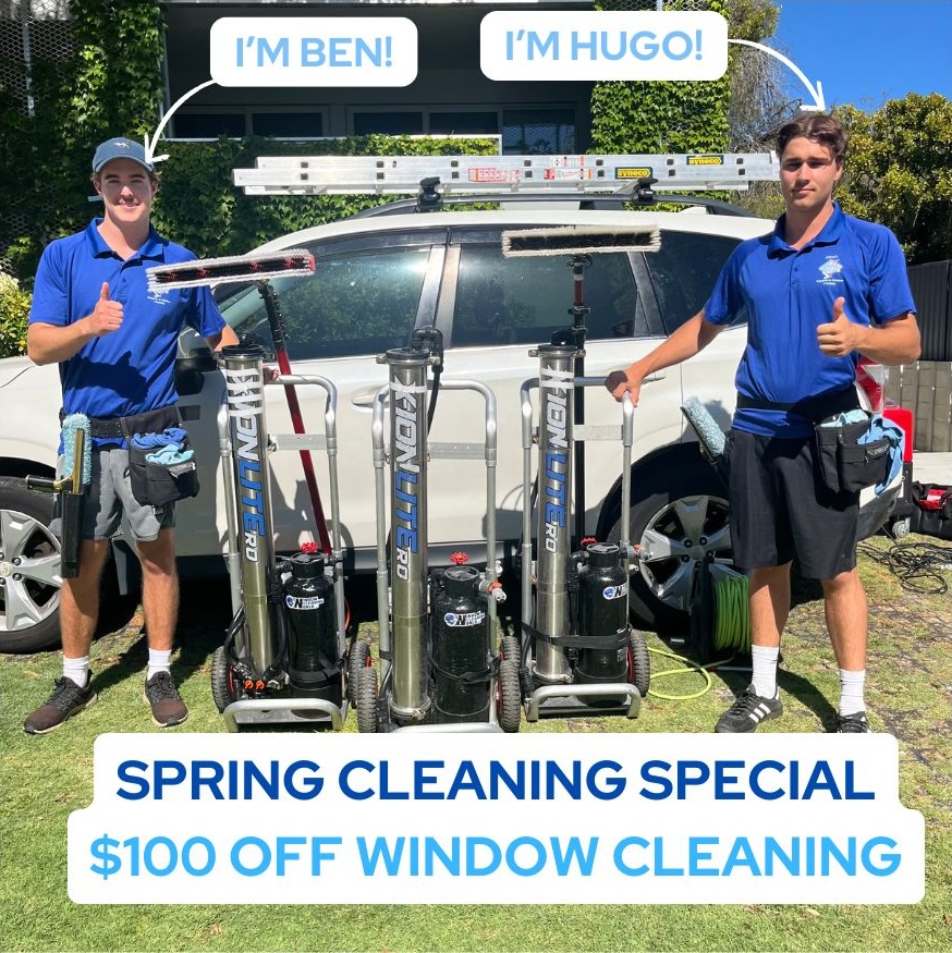 Swan Windows Cleaning Facebook ad: 2025 Spring Special