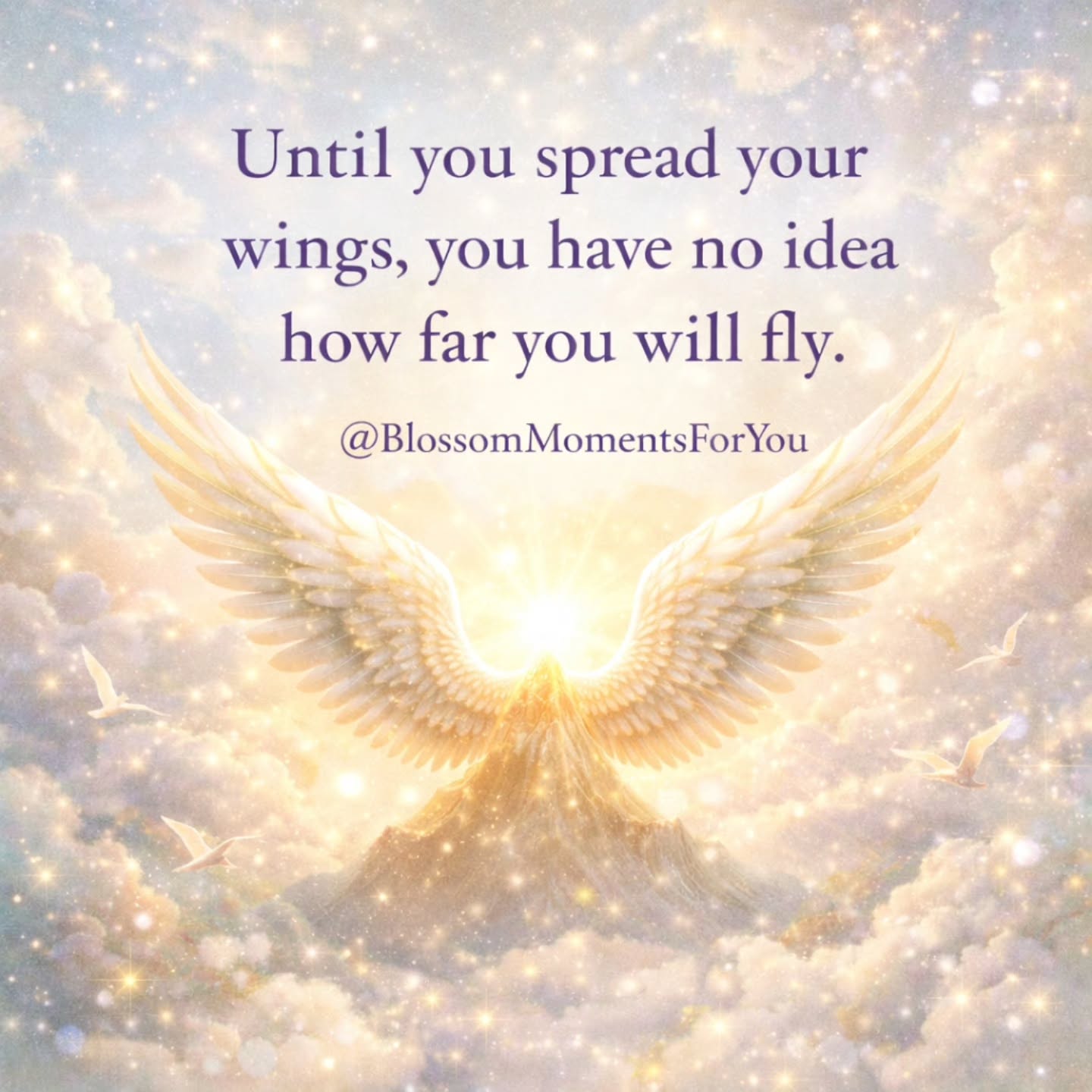 Blossom Moments For You Facebook ad: Until you spread your wings, you have no…