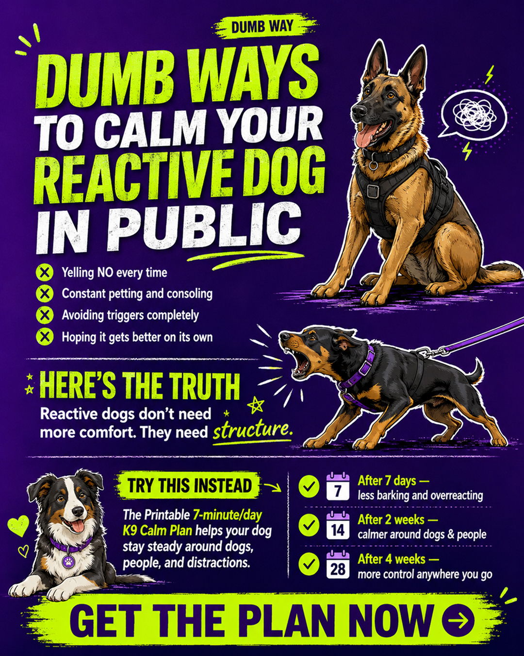 1st Dog Training Club Facebook ad