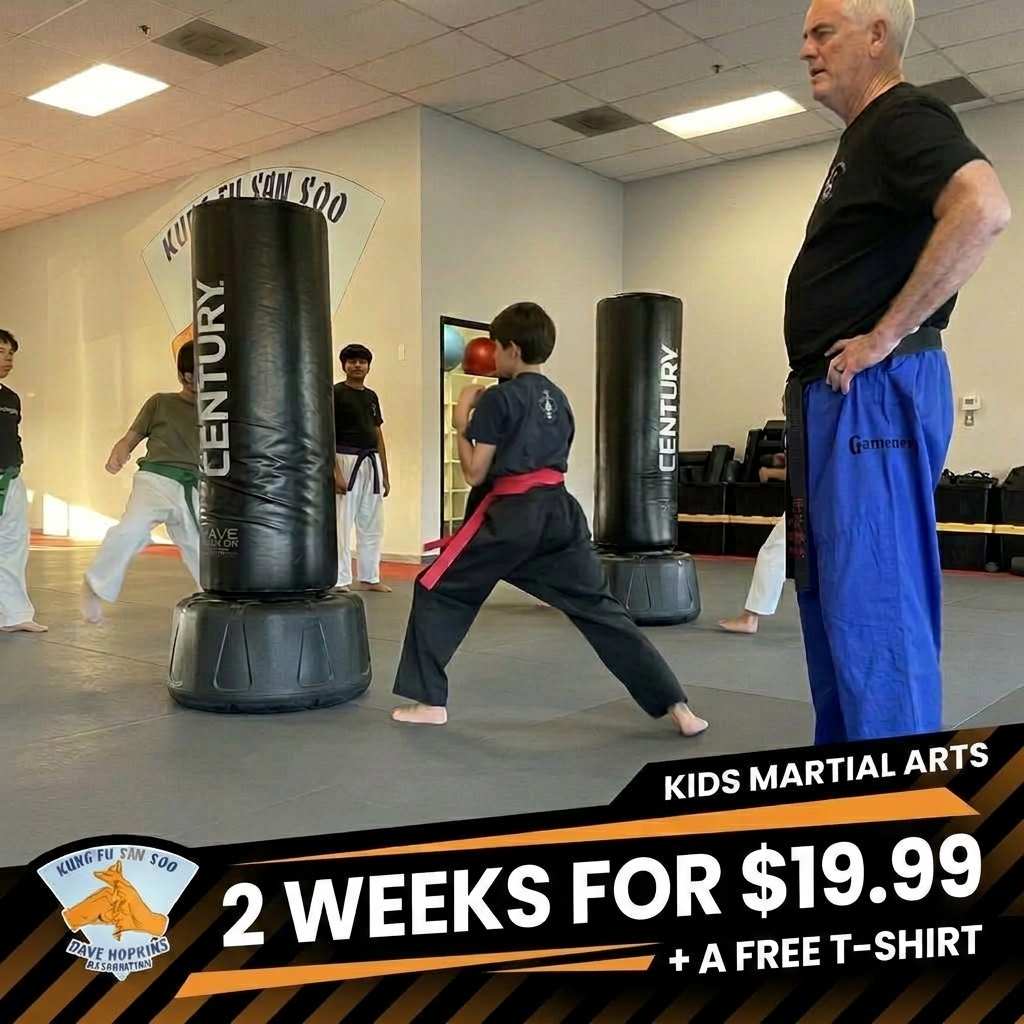 Dave Hopkins Kung Fu San Soo Facebook ad from May 20, 2026