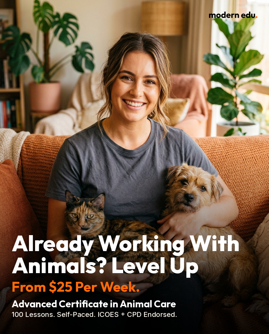 Modern Edu Australia Facebook ad