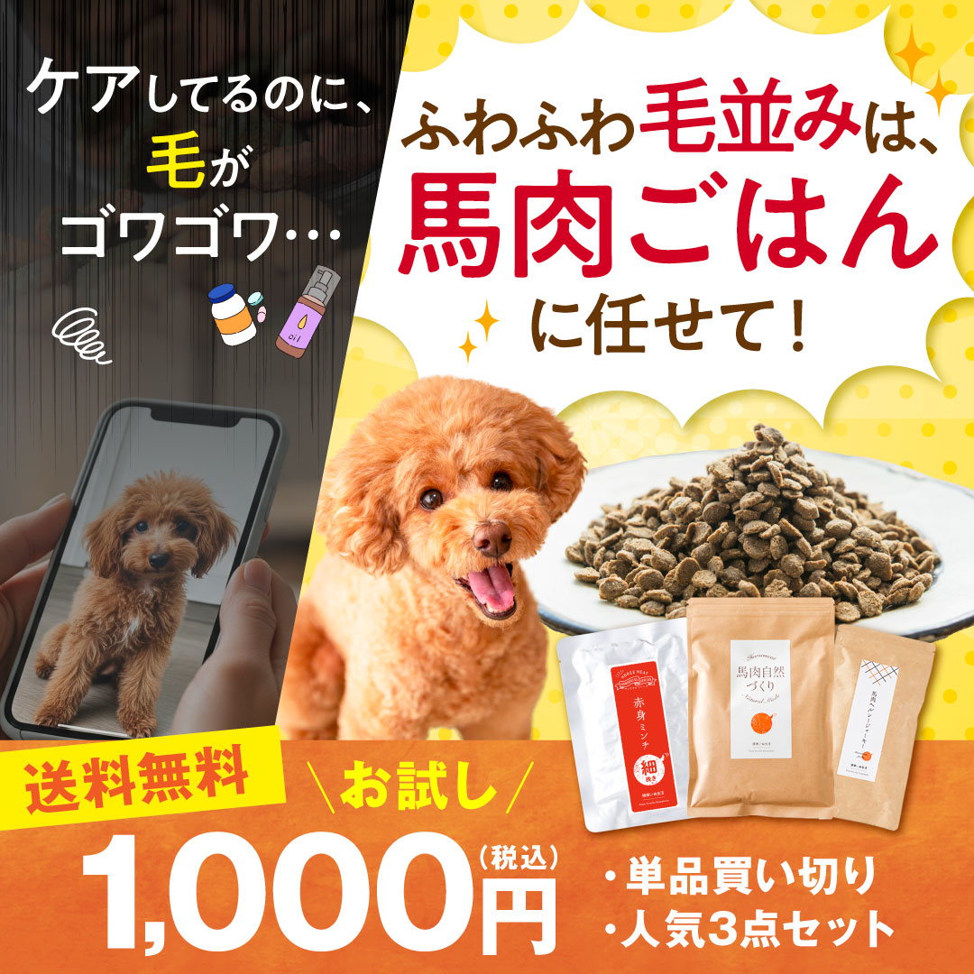 健康いぬ生活 Facebook ad