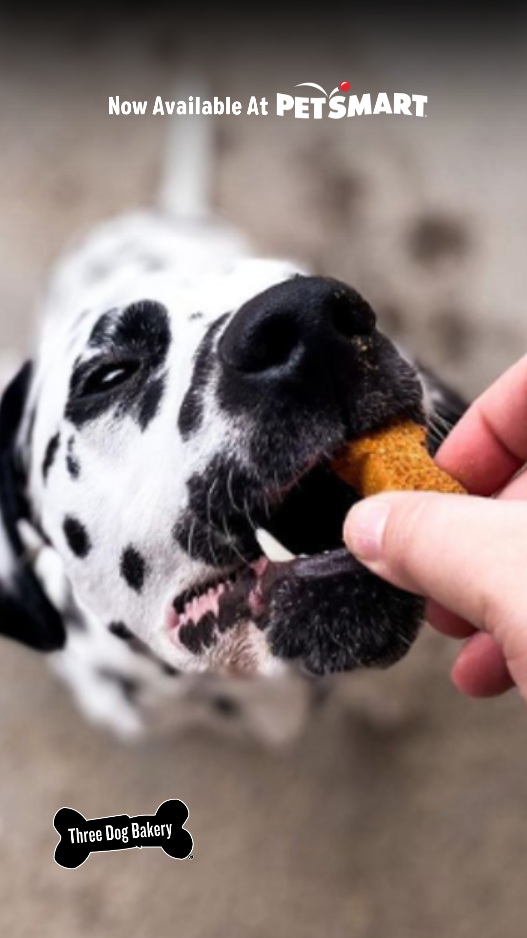 Three Dog Bakery Facebook ad