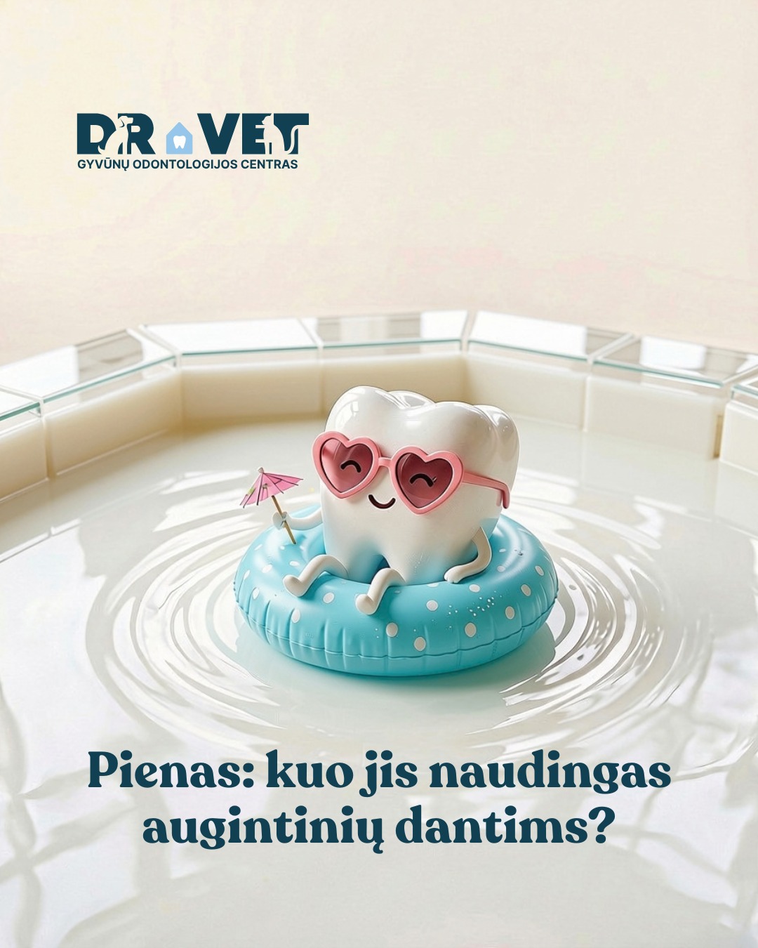 DR.VET Odontologija Facebook ad: Kaip stiklinė pieno gali išgelbėti jūsų augintinio dantis?