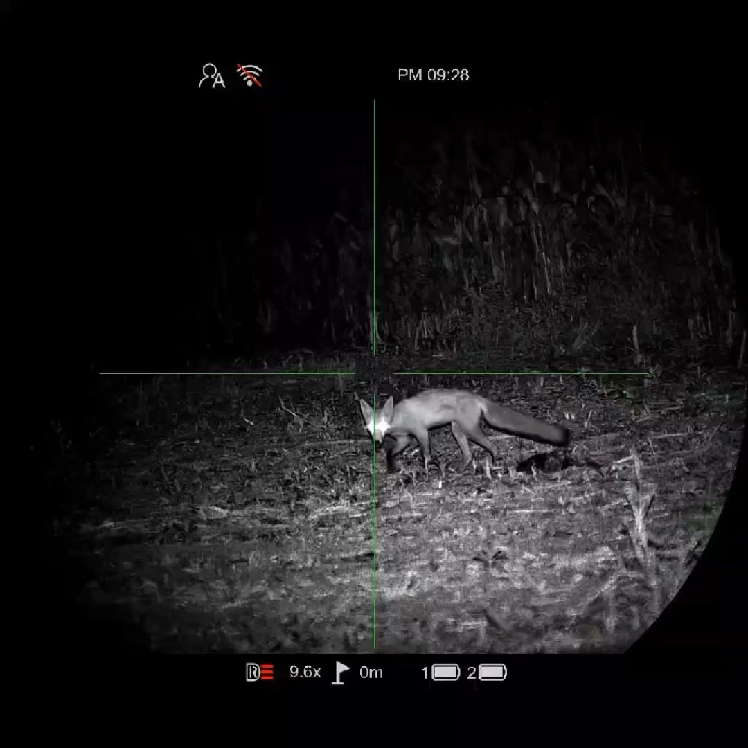 POLOVNICTVO Facebook ad: PARD NIGHT STALKER 4K eX LRF