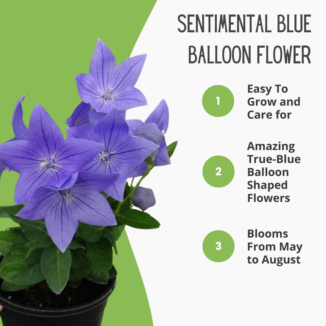 Nature Hills Nursery Facebook ad
