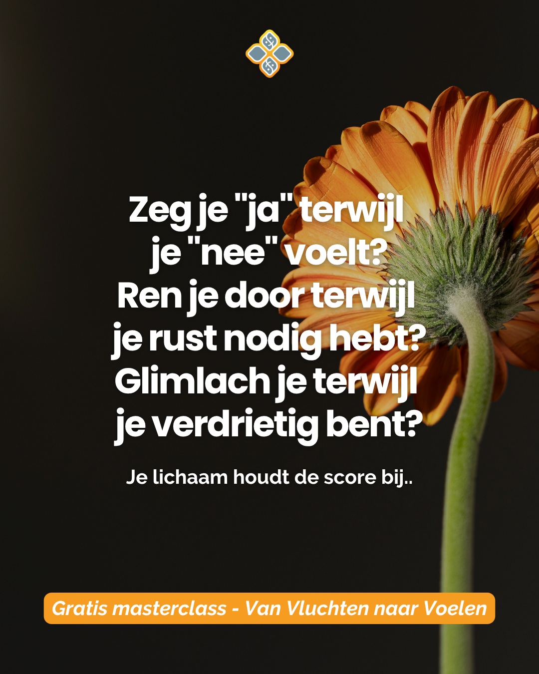 Hylke Bonnema Facebook ad