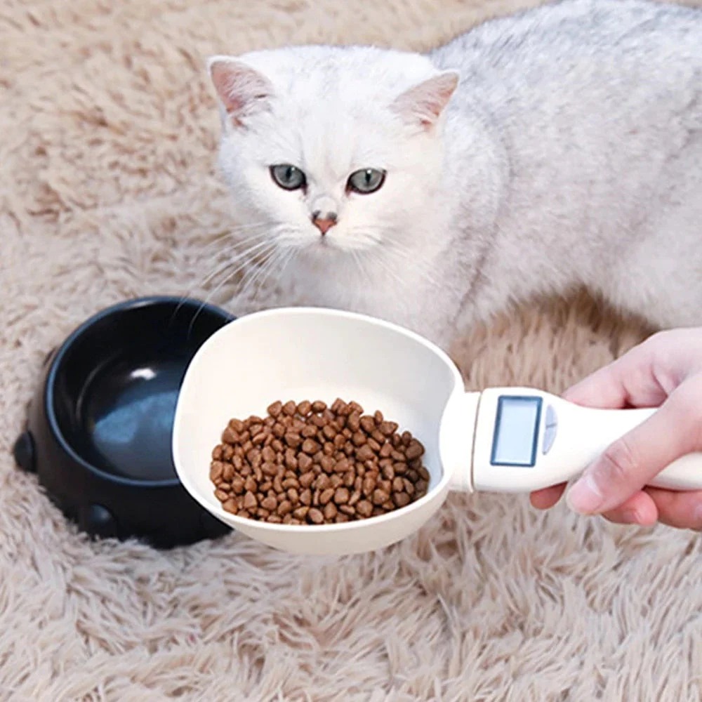 Whisker Wonders Facebook ad: 50% OFF ONLY TODAY!