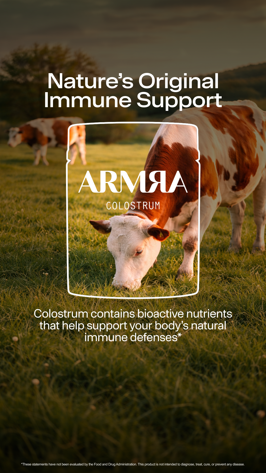 ARMRA Facebook ad